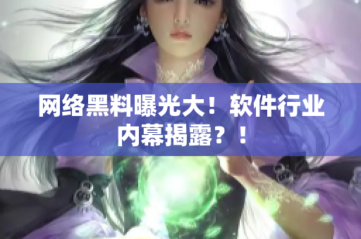 网络黑料曝光大！软件行业内幕揭露？！