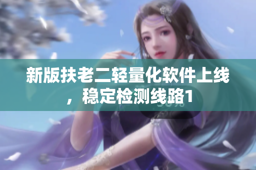 新版扶老二轻量化软件上线，稳定检测线路1