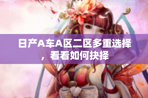 日产A车A区二区多重选择，看看如何抉择