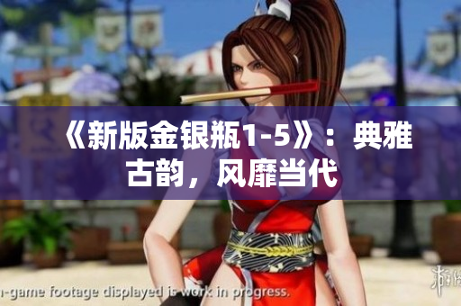 《新版金银瓶1-5》：典雅古韵，风靡当代
