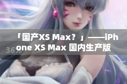 「国产XS Max？」——iPhone XS Max 国内生产版