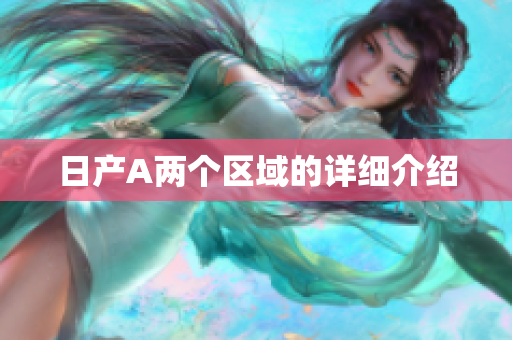 日产A两个区域的详细介绍